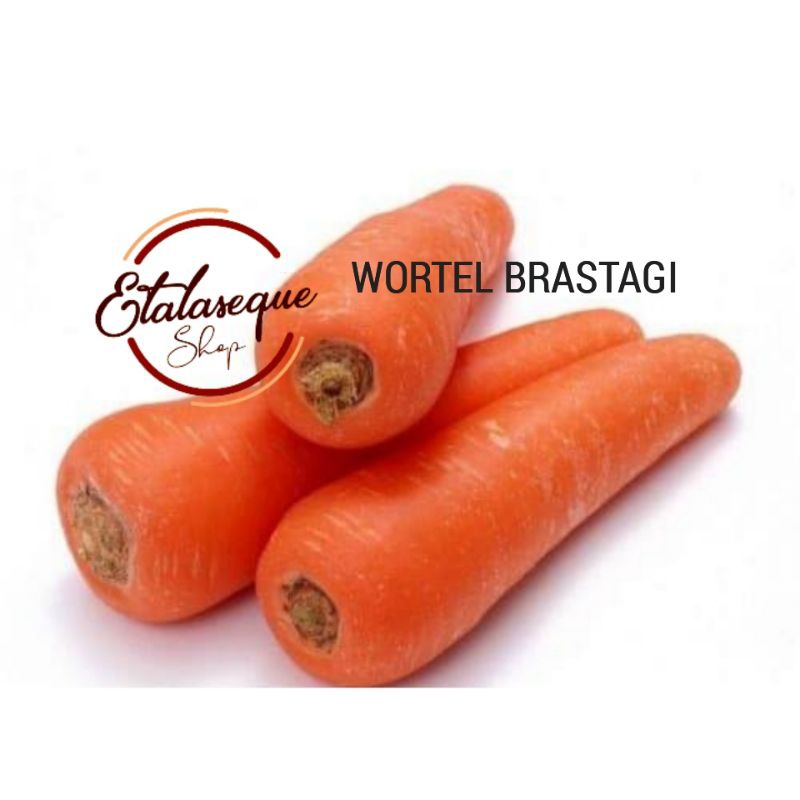 

WORTEL BRASTAGI FRESH
