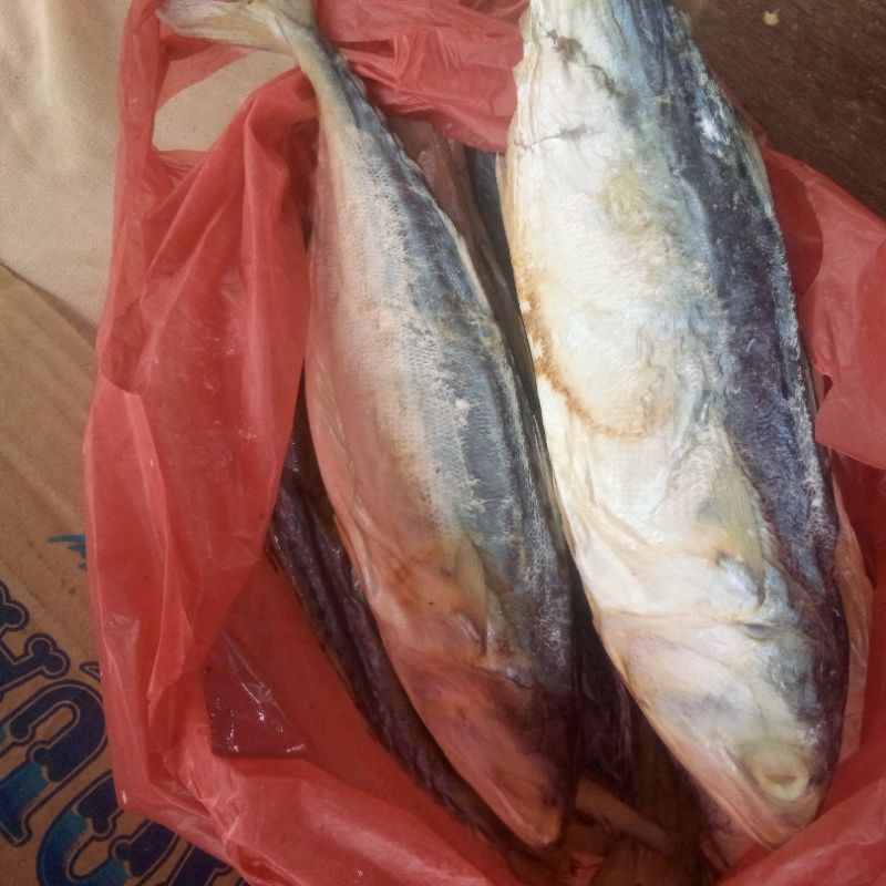 

ikan asin
