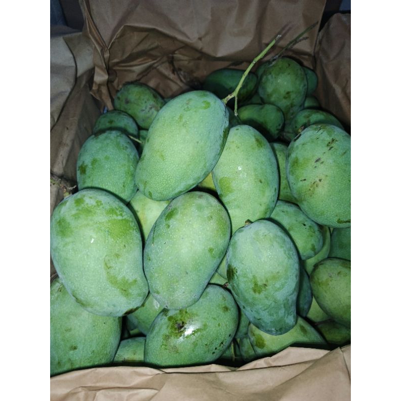 

Mangga Harumanis Paket 5KG