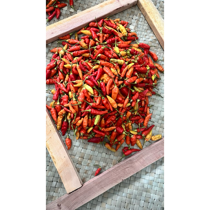 

Cabai Prentol super 500gr Banyuwangi