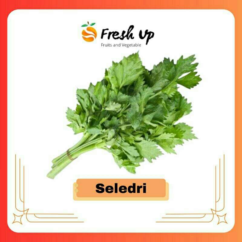 

Seledri Super Fresh 100 gr | FreshUp