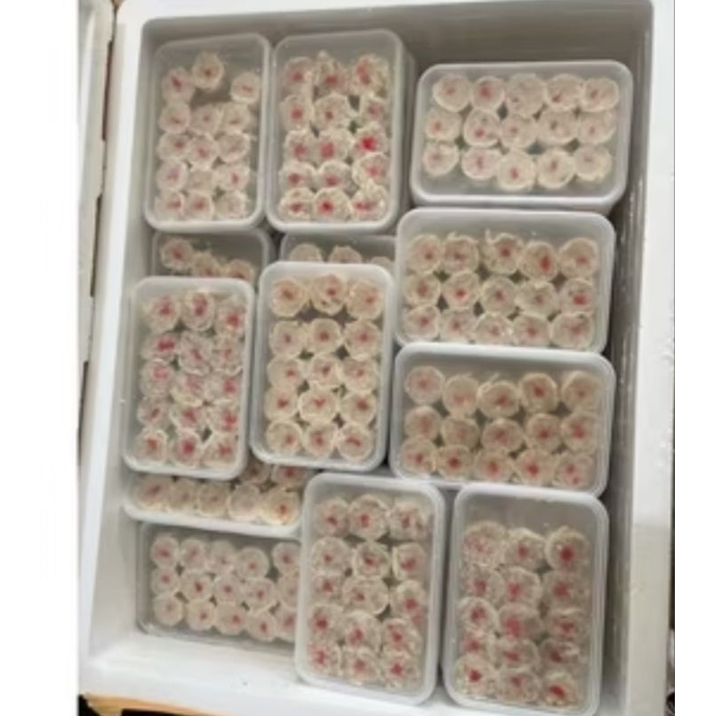 

Dimsum ayam,udang kepiting,mix dan rumput laut frozen