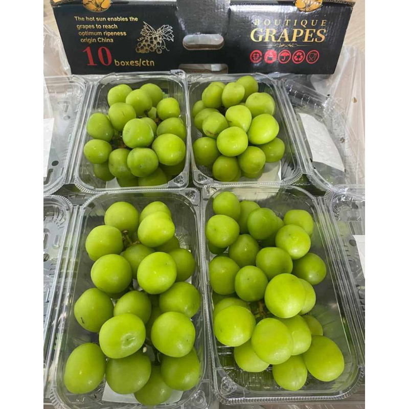 

Shine Muscat pack
