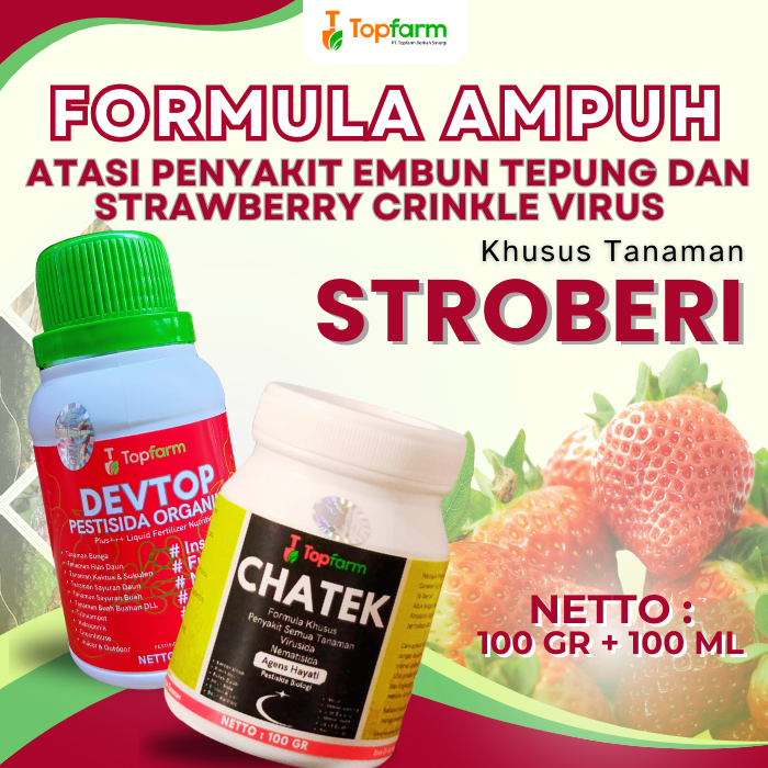 Pestisida Topfarm / Obat Buat Tanaman Stroberi / Obat Hama Stroberi / Obat Hama Tanaman Stroberi / O