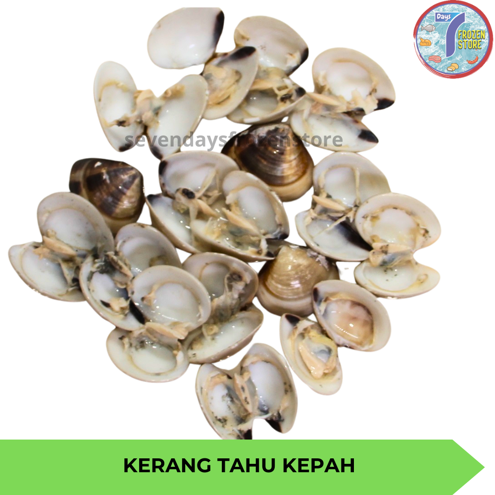 

Kerang Tahu | Kerang Kepah Beku Frozen