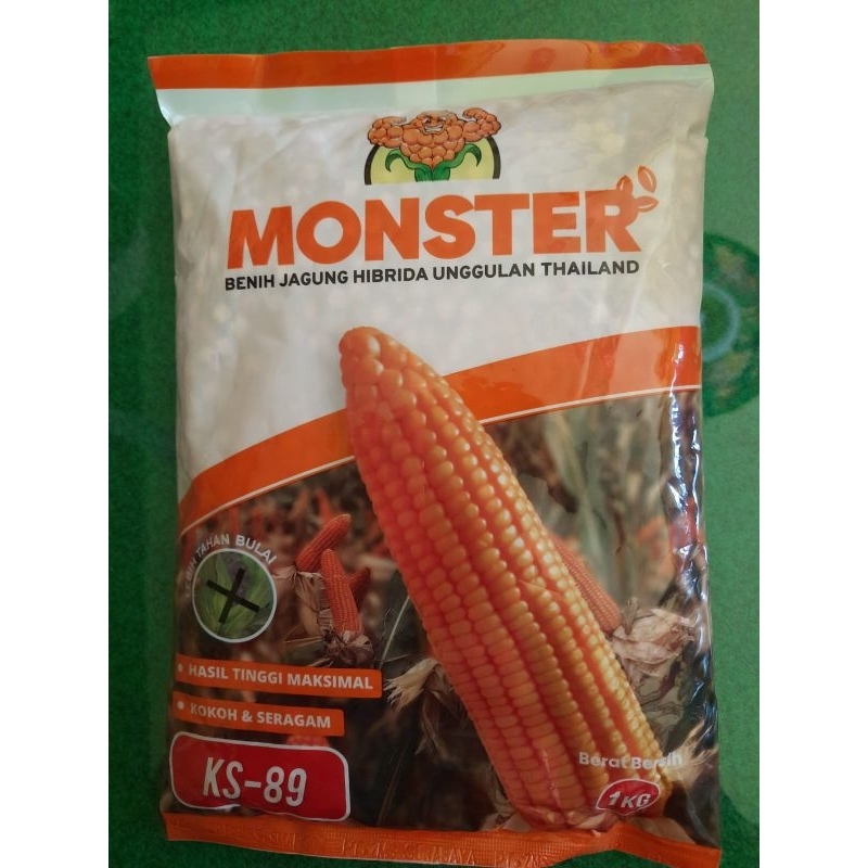 Benih bibit jagung KS-89 MONSTER 1 kg original