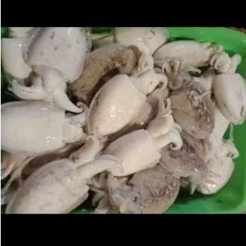 

Cumi Sotong 500gr