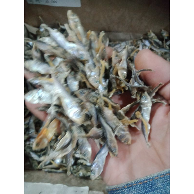 

IKAN ASIN MINIS TAWAR ENAK MURAH KEMASAN 500 GRAM