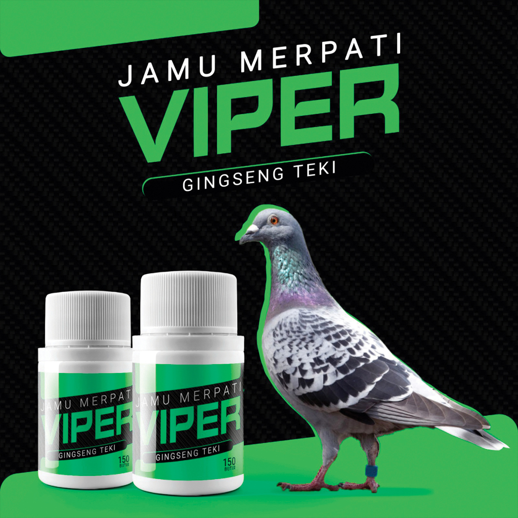 VIPER GINSENG TEKI PLUS - Jamu herbal merpati balap pos kolong