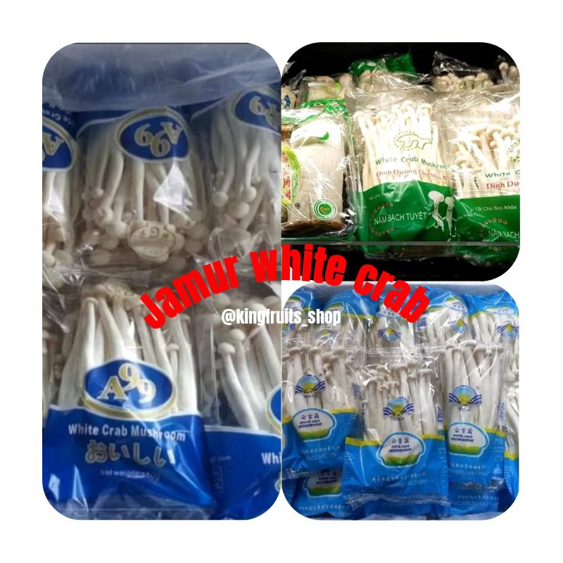 

jamur snow white, jamur salju, jamur white crab