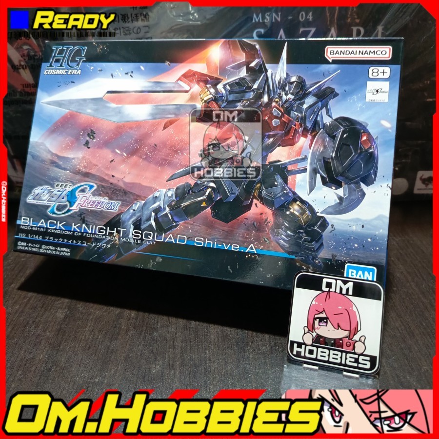 HG Black Knight Squad Shi-ve. A 1/144 Gundam Seed Freedom