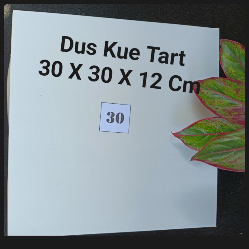 

Dus Kue Tart 30*30*12 Cm Putih Polos (Harga Grosir)