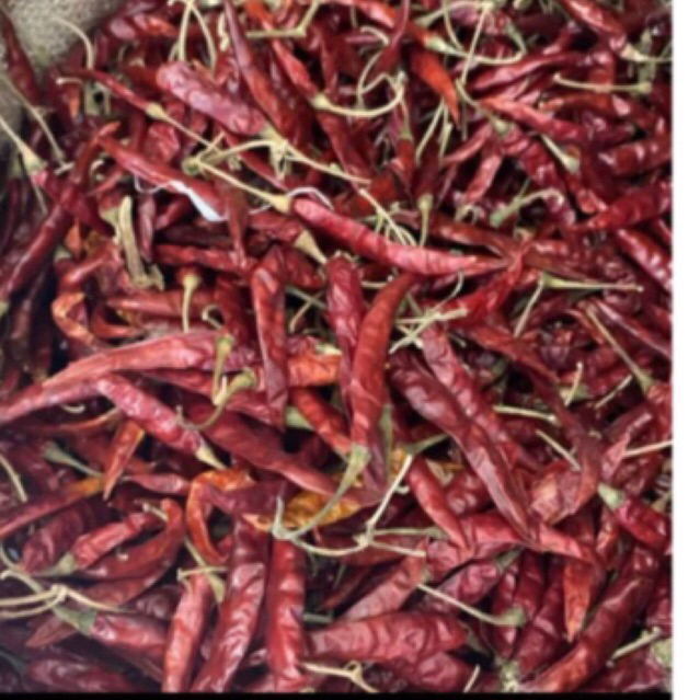 

cabe kering keci tangkai