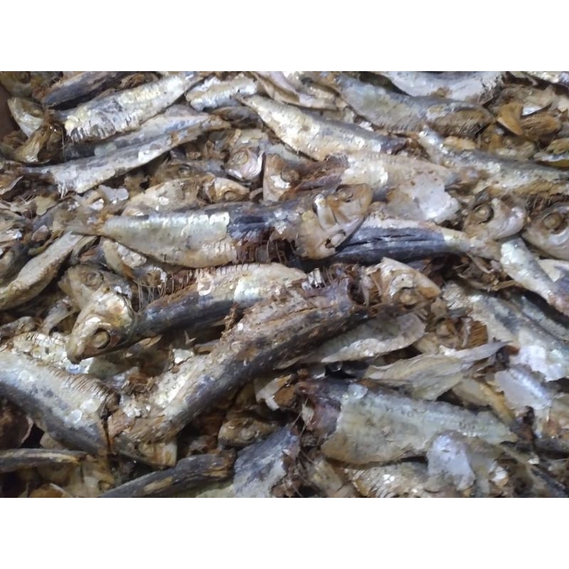

IKAN ASIN TAMBAN KASAR SUPER PREMIUM MEDAN