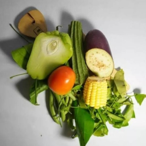 

PAKET SAYUR LODEH FRESH