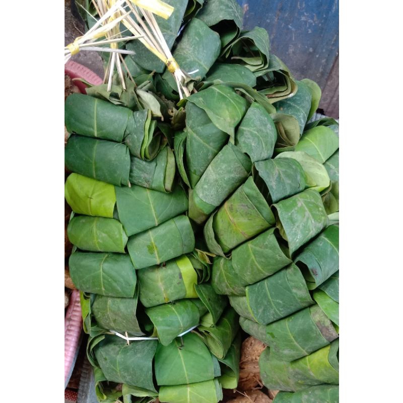 

Daun Salam Hijau-Kering Segar 3000 Per/1Lebar
