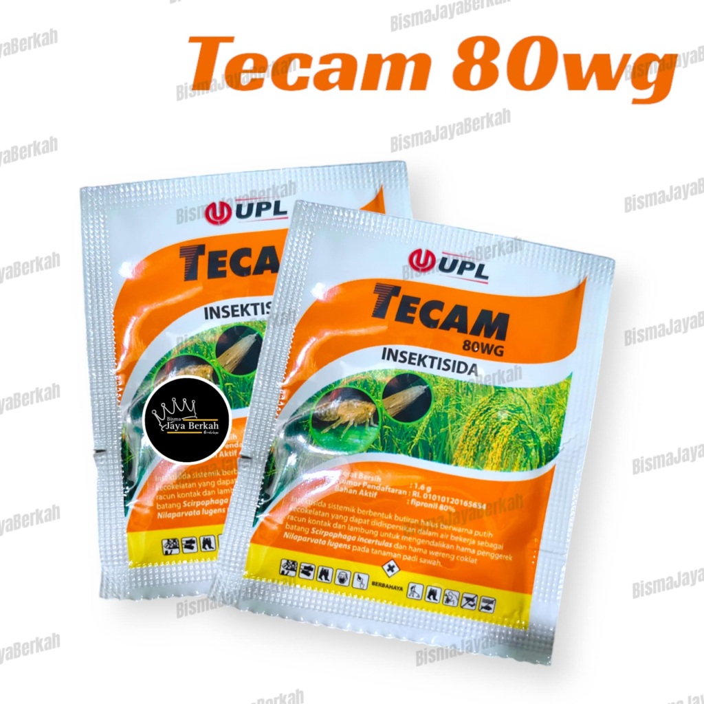 TECAM 80 WG SACET BAHAN SAMA REGENT 1 sachet