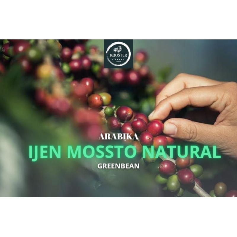

GREEN BEAN IJEN MOSSTO NATURAL 5KG