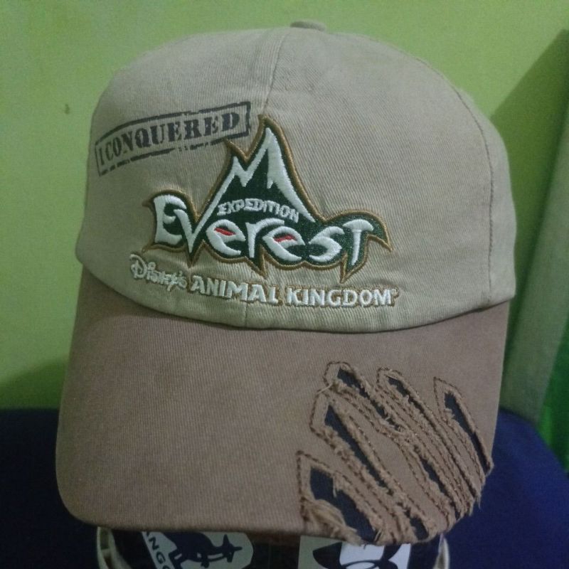 Expedition Everest Disney Animal Kingdom by Walt Disney World