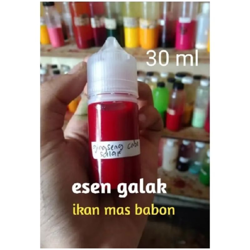 essen biang kerok oplosan special induk ikan mas paling gacor paling ampuh