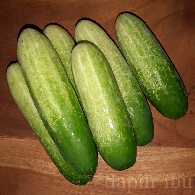 

Timun fresh