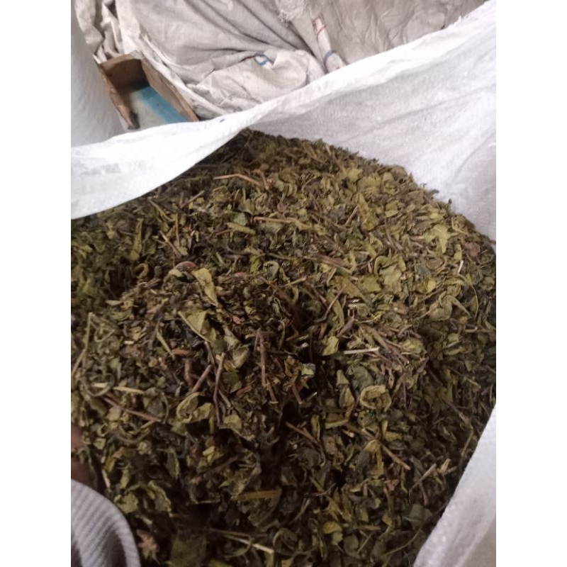 

Grosir Teh Hijau 1kg 100% Murni Tanpa Campuran / Teh Hijau Alami