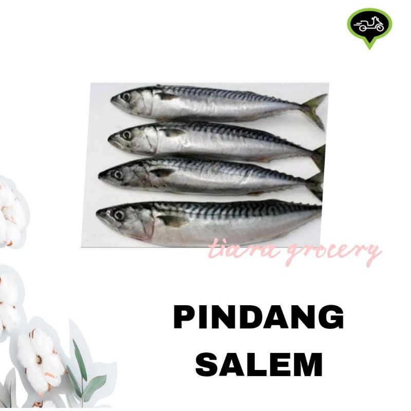 

Pindang Salem