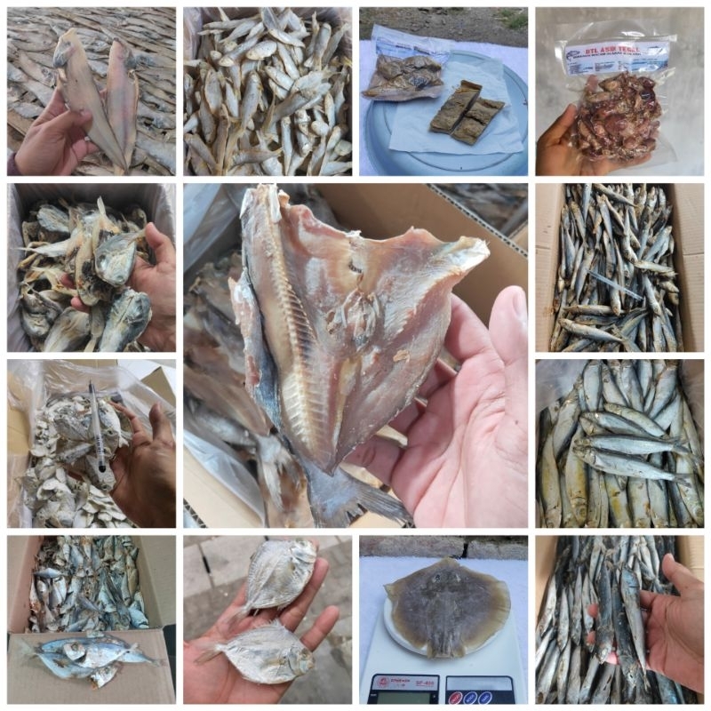 

PAKET HEMAT IKAN ASIN CUMAN 2000 AN