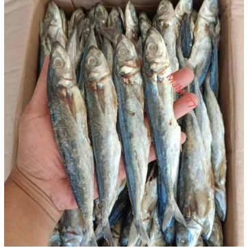 

ikan asin pedo 1kg Best Seller Special Superan murah
