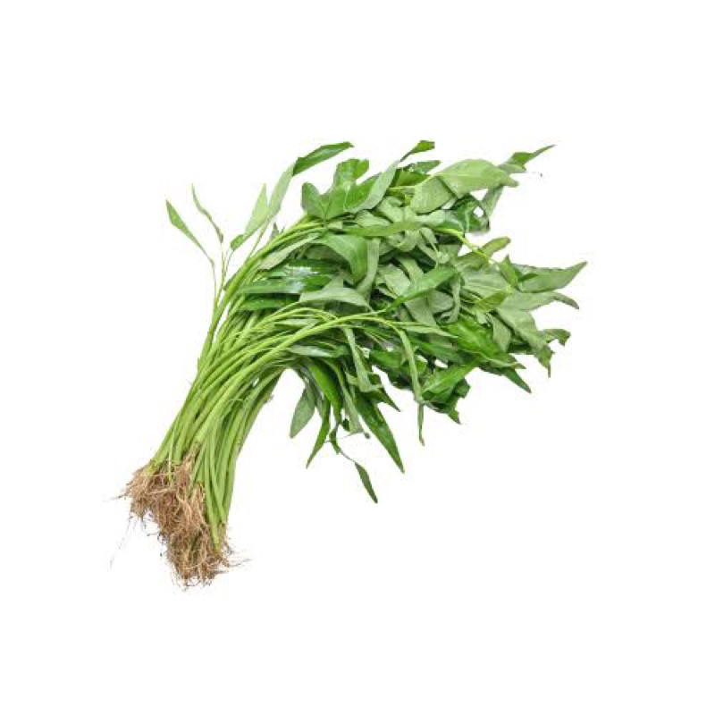 

kangkung 1 iket