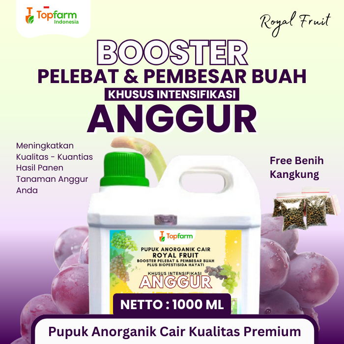 Pupuk Anggur Cepat Berbuah / Pupuk Anggur Masa Pertumbuhan / Pupuk Anggur Berbuah Besar dan Manis