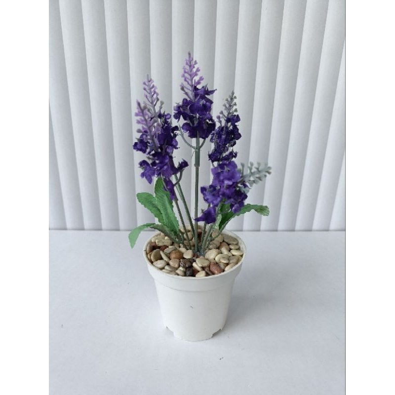 BUNGA HIAS LAVENDER MINI BUNGA + POT