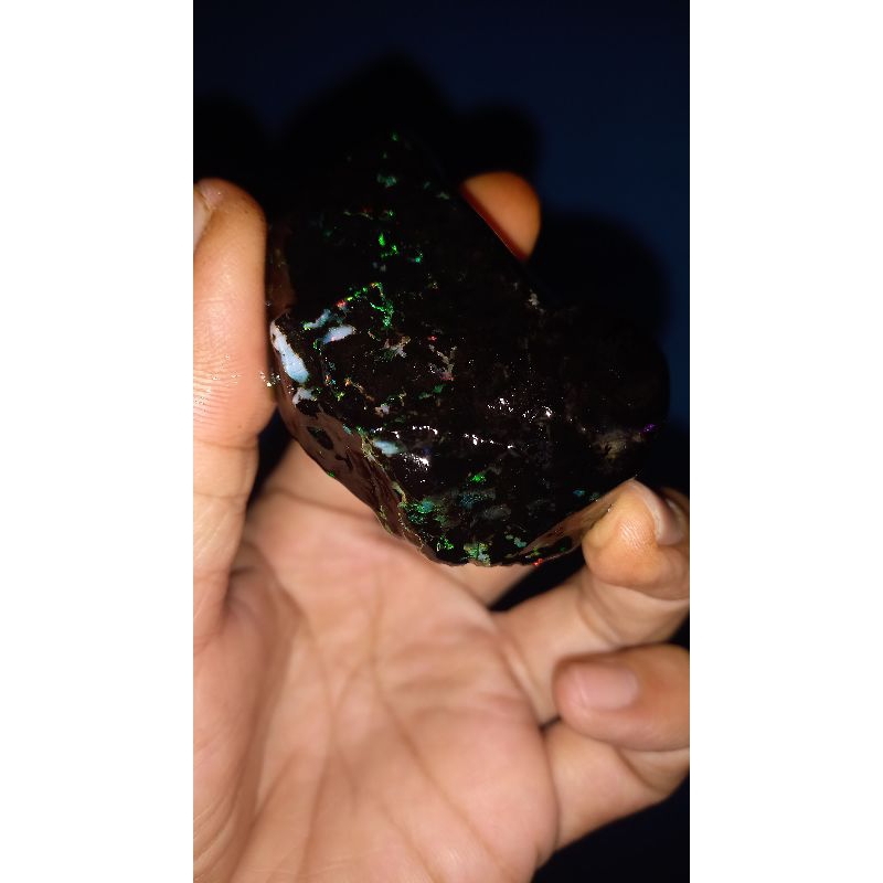 Black Opal Sempur Jarong Jumbo