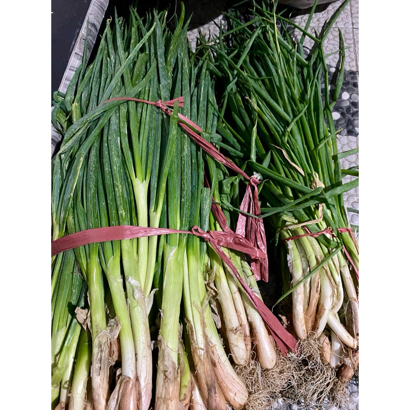 

bawang pre segar murah