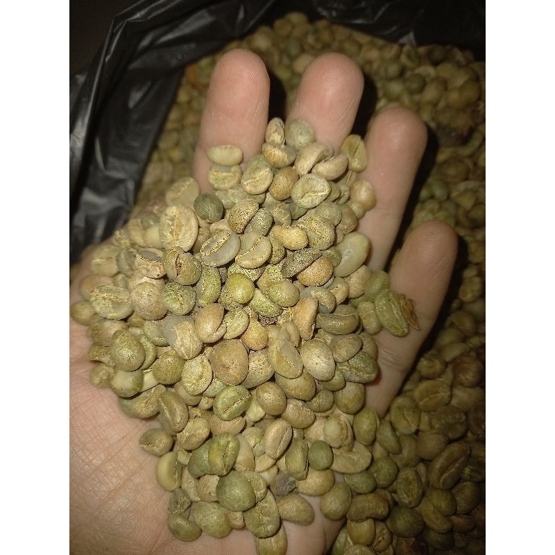 

Biji kopi Robusta non sortir