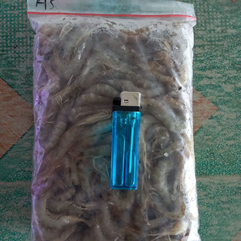 

udang api sedang fresh frozen