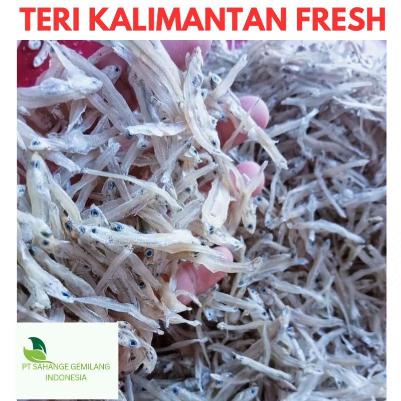 

Teri Kalimantan /Teri Laut kaltara 1kg