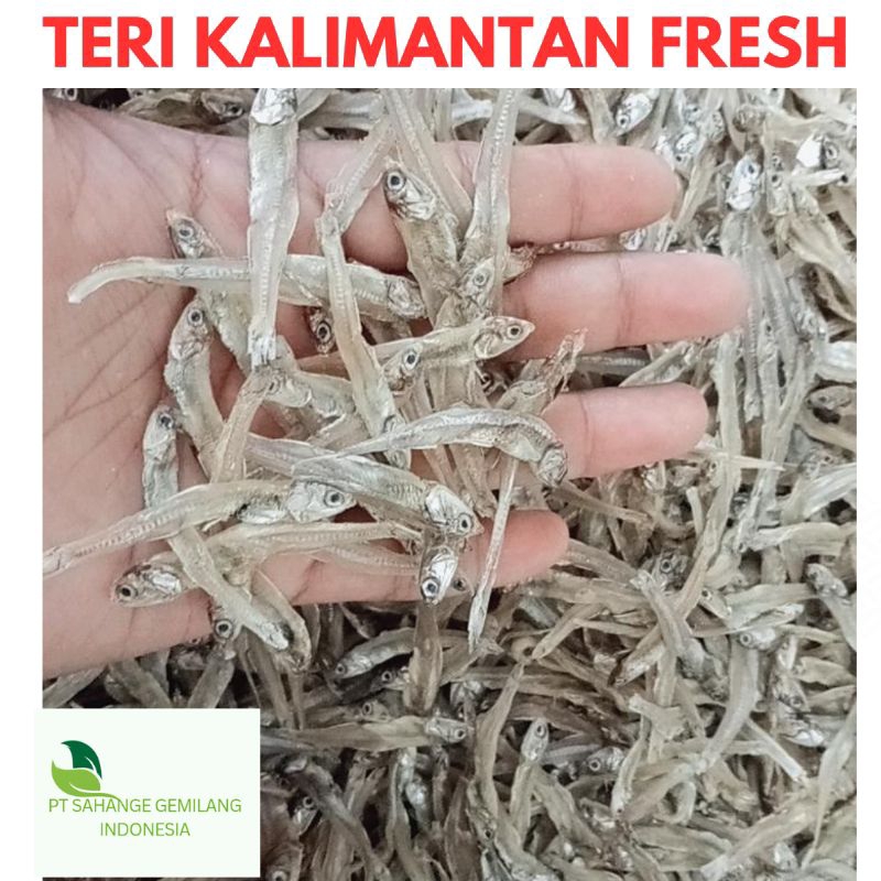 

Teri Kalimantan 1kg Teri Laut kering bagus