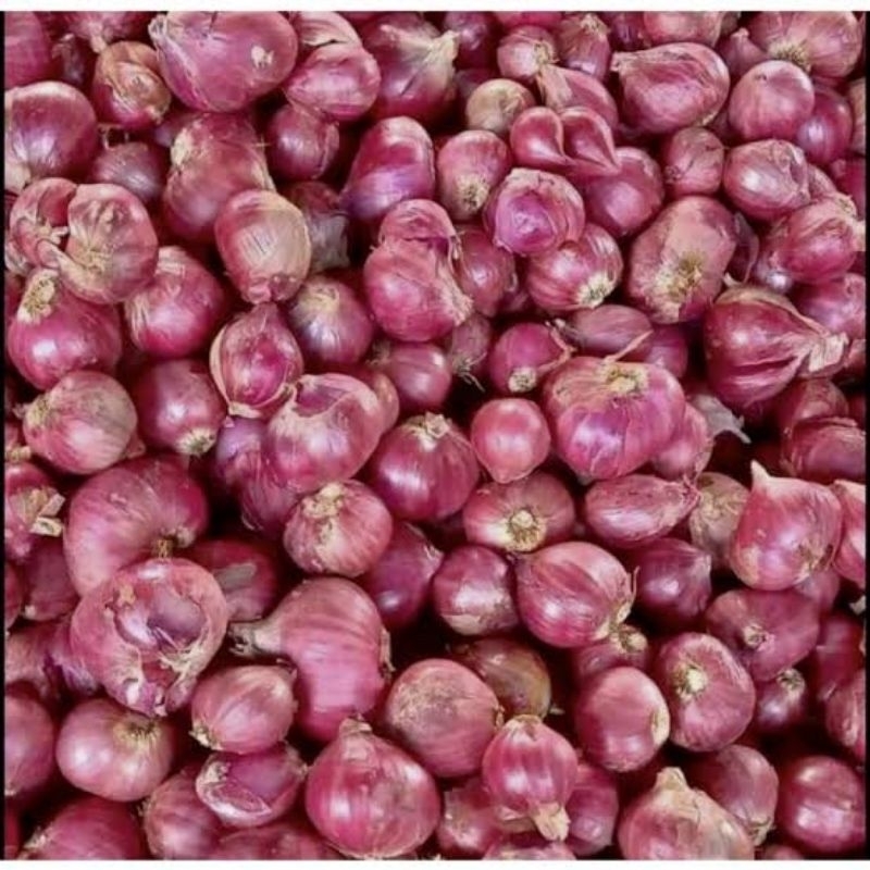 

Bawang merah 1 kg