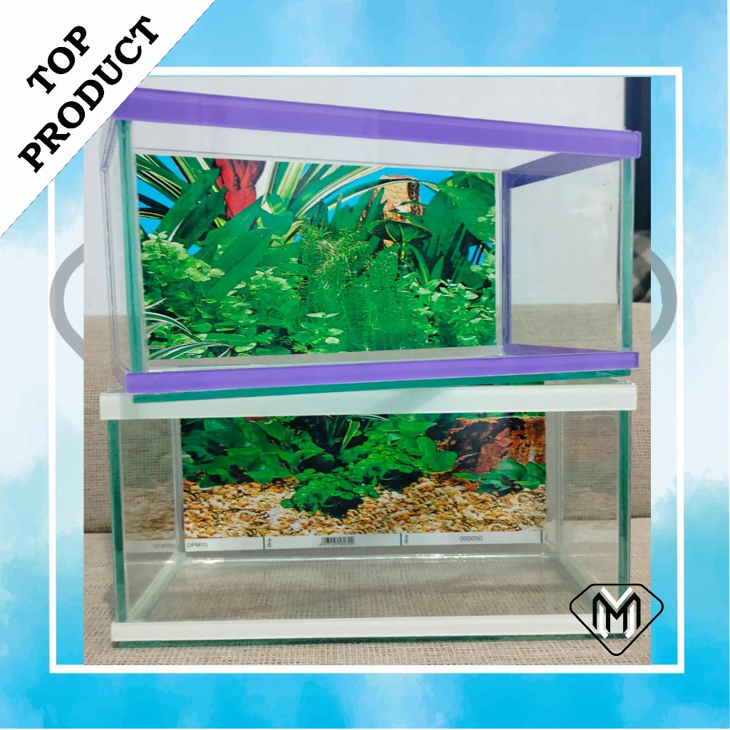 aquarium minimalis full set ,aquarium cana,quarium mini, aquarium cupang