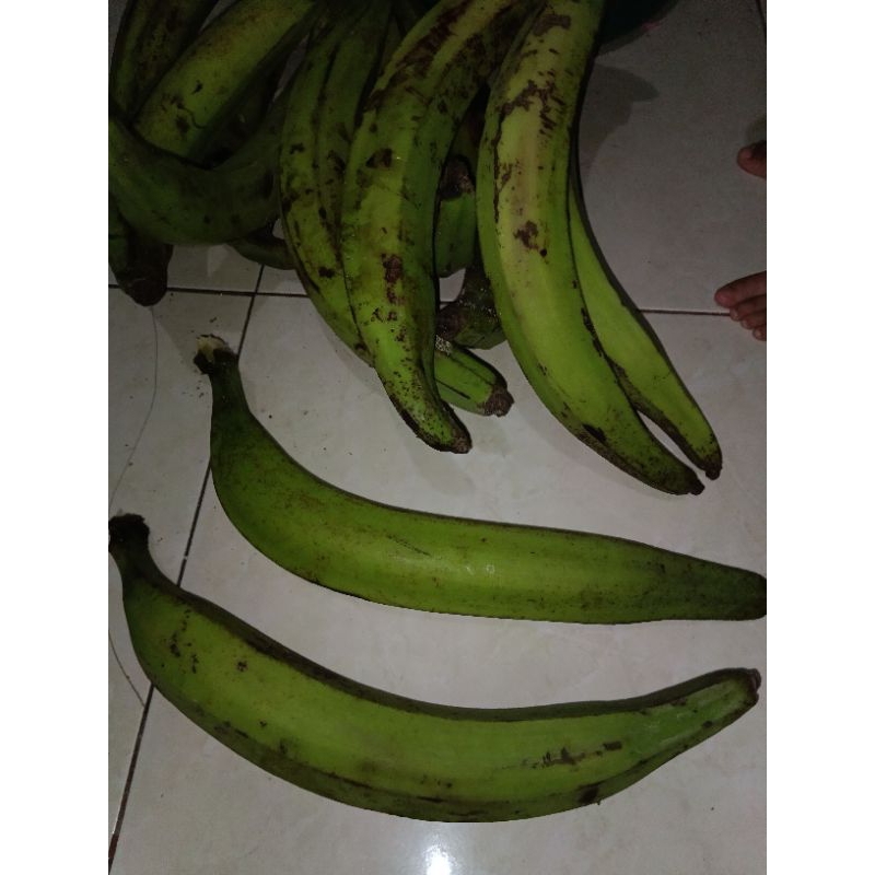 

pisang tanduk
