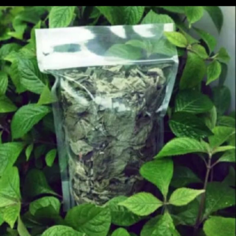 

Daun Keji Beling/Daun Pecah Beling (Obat Herbal) 500 g