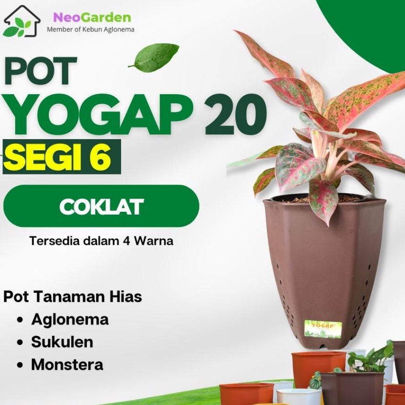 HJ6 POT SEGI 6 YOGAP 2  Pot plastik segi enam ukuran 2 awet untuk bunga tanaman hias kaktus aglonema