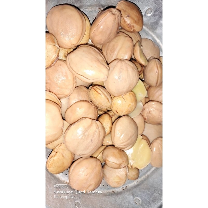 

jengkol rebus 1kg