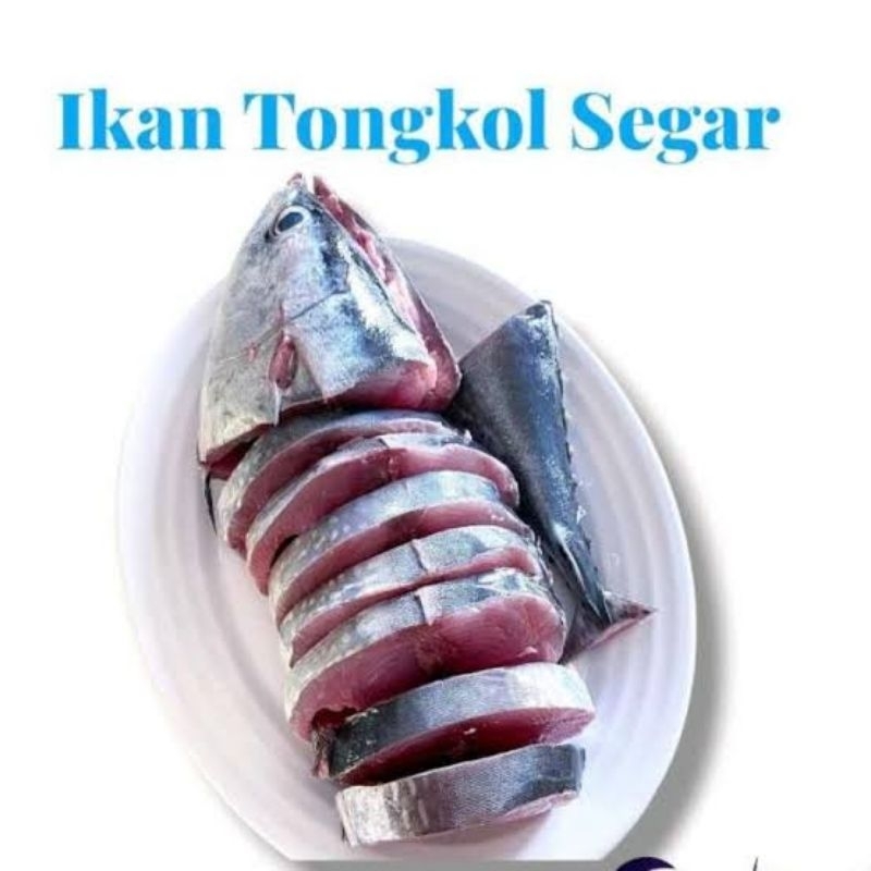 

ikan tongkol segar potong 500gr/1000 gr