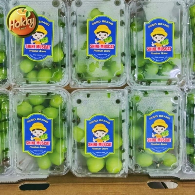 

ANGGUR SHINE MUSCAT PACK