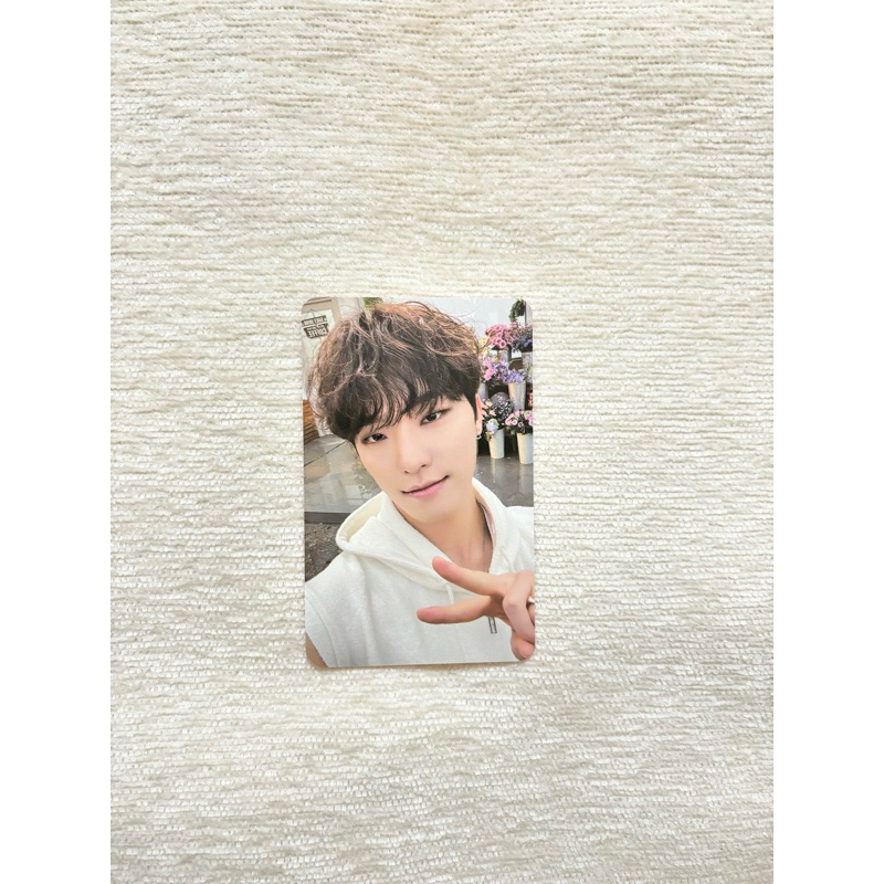 Seventeen DINO Photocard - Sector 17 M2U LD R1