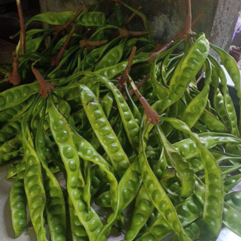 

Pete segar lalap petai