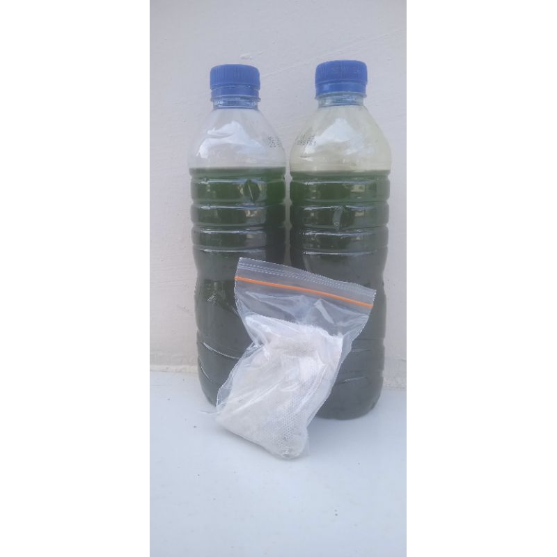 Air hijau (green Water 1 Liter) konsentrat sebagai pakan kutu air .