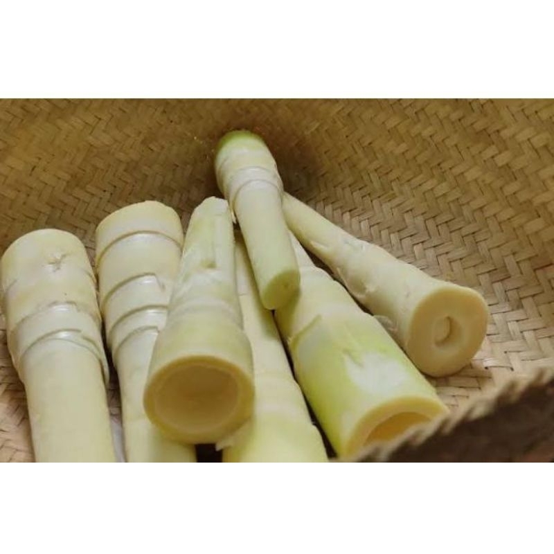 

Rebung sayur kupas bersih 1 kg organik